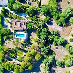 Magical Casa Koi In *