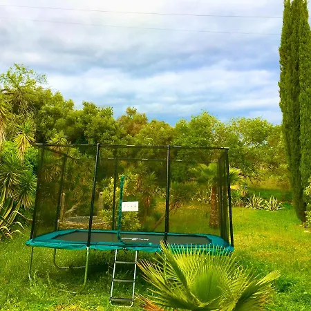 فيلة Magical Casa Koi In