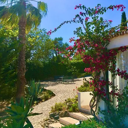 Magical Casa Koi In Villa *