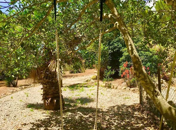 Magical Casa Koi In Villa