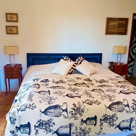 Magical Casa Koi In Вилла *