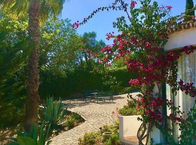 Magical Casa Koi In Villa *