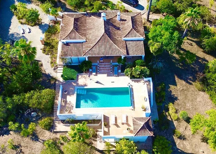 Magical Casa Koi In *