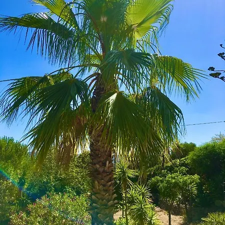 Magical Casa Koi In וילה סאו בראס דה אלפורטל