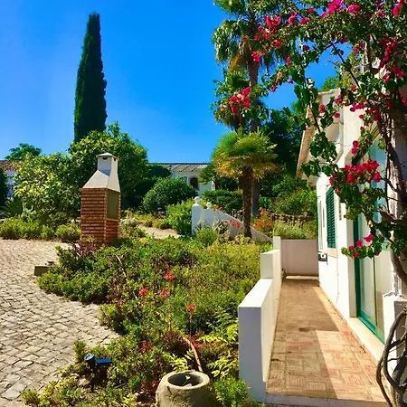 Magical Casa Koi In